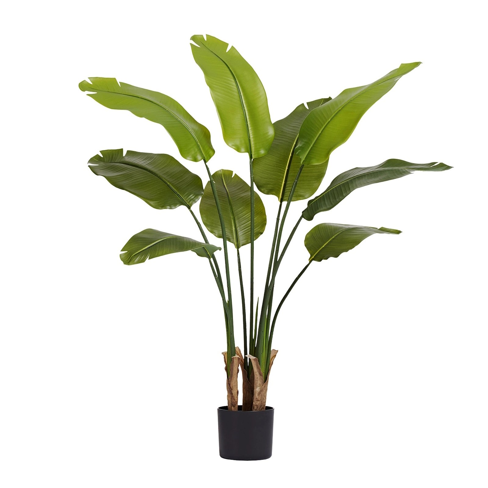 Дерево Стрелиция New Style (Sensitive Botanic) TZ.PL.TR.1795